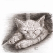 Na�a Ma�ka Elsa (Grafitov� ceruzka na papieri)