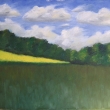Repkov pole na Vysoine (olej na pltne, 40x30)