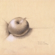 2011_Apple_in_paradise(grafitova ceruzka na papieri, 21x30)