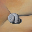 2012 Shell in paradise (oil on canvas,50x40)