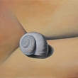 2012 Shell in paradise (oil on canvas,50x40)